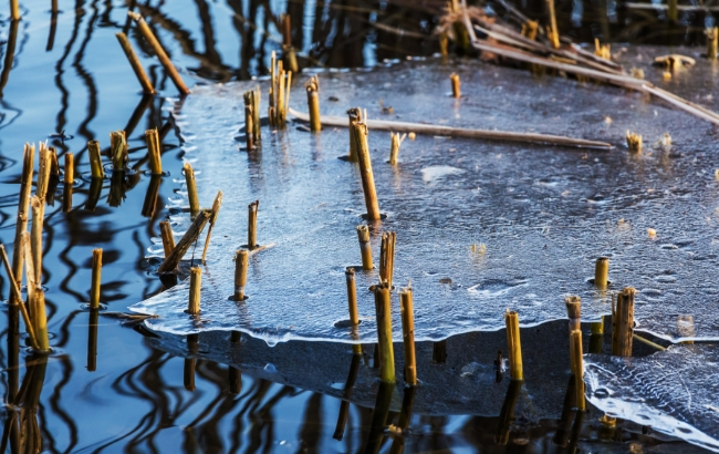 Февральские морозы: синоптики напугали украинцев сильным похолоданием